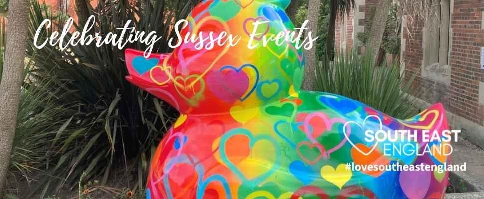 Family events in Sussex including Follow the Duck in Hastings on until 5th September.