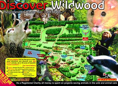 Discover the animals of the Wildwood in Canterbury