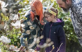 A family of three in the garden in front of a magnolia tree taking part in the Easter trail