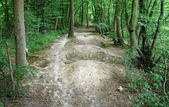The Cuckoo Trail, Wealden