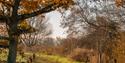 Titchfield Haven National Nature Reserve