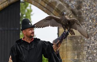 Easter Fun: Hawking About Birds of Prey at Lewes Castle