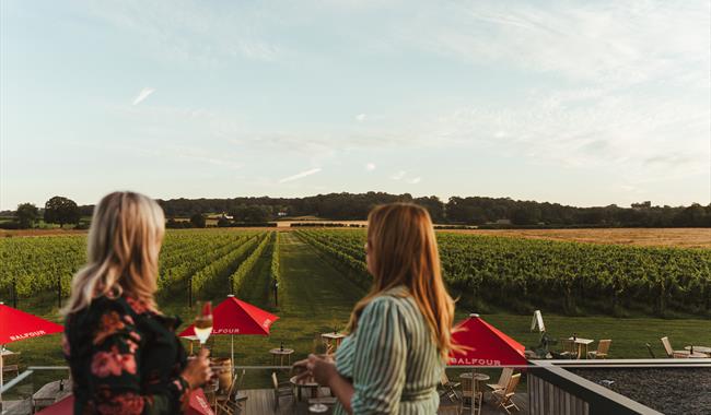 Visitors enjoying a glass of wine overlooking vineyard