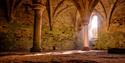 Pillars and vaulted ceiling at Battle Abbey