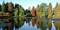 Image of Bedgebury National Pinetum & Forest