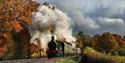 Bluebell Railway in Autumn travelling through the beautiful Sussex countryside - Image credit Experience West Sussex