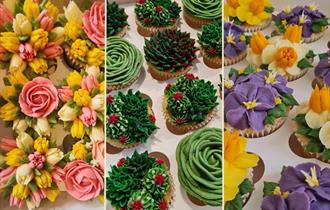 Cupcake Decorating Workshops