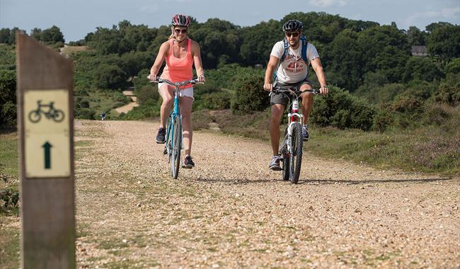 Full Day Bike Hire with New Forest Activities