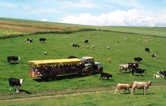 Coombes Farm Tours