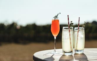 three cocktails overlooking Balfour's vineyard