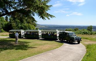 Denbies Sparkling Outdoor Trian Tour & Afternoon Tea Hamper on the Lawn