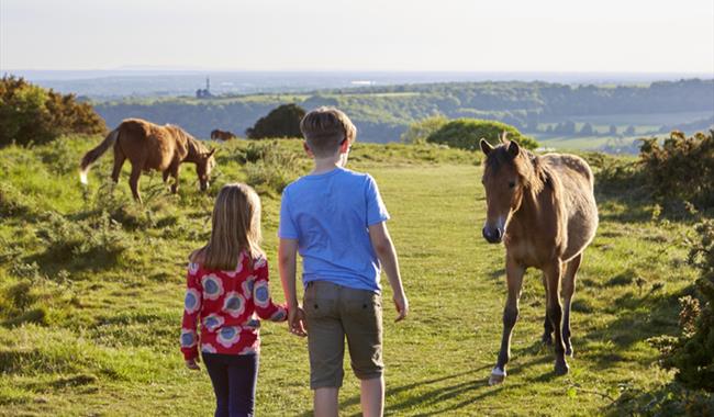 Time For Worthing  Cissbury Ring ponies kids