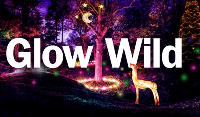 Glow Wild | Wakehurst