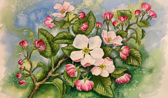 Apple Blossom Time: Watercolour Workshop
