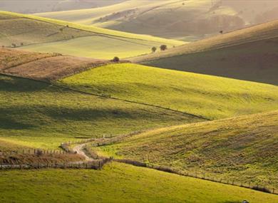 Sussex Downs