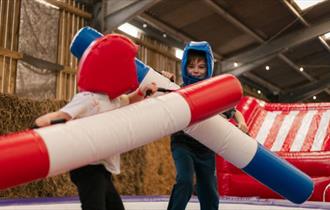 Two children playing in the gladiator arena at Tapnell Farm Park, Bouncy Barn Fun, event, what's on, Isle of Wight