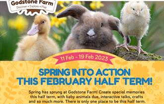 Spring Into Action at Godstone Farm this February Half Term