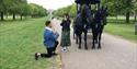 Windsor Carriages: proposal on the Long Walk