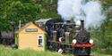 Isle of Wight, Things to Do, Isle of Wight Steam Railway, Train passing Smallbrook points
