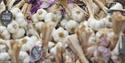A bundle of garlic, Isle of Wight Garlic Festival, what's on, event, Newchurch