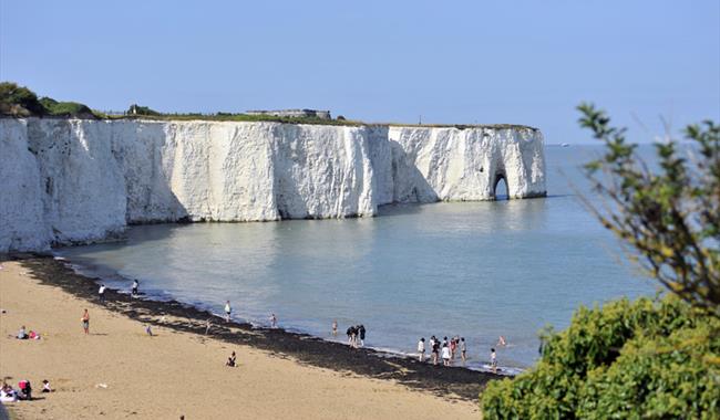 Kingsgate Bay