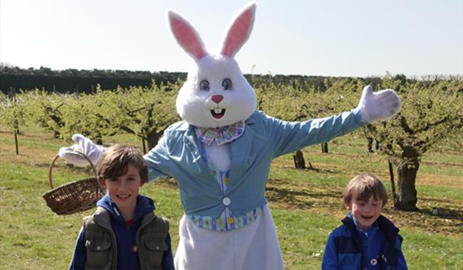 Discover Easter at Brogdale