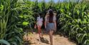 Children entering the maize maze at Tapnell Farm Park, Yarmouth, events, things to do