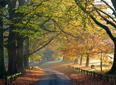 Autumn colours at the entrance to Mote Park in the heart of Maidstone, Kent.  Credit Maidstone Borough Council.