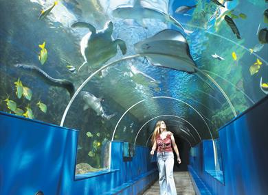 Oceanarium, The Bournemouth Aquarium