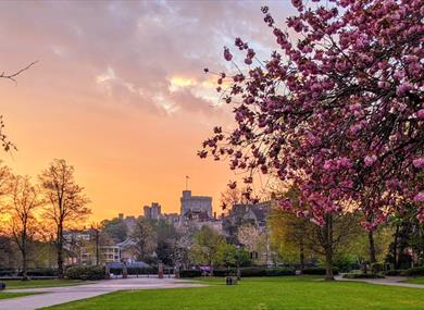 Alexandra Gardens in spring. Image courtesy Windsor & Eton PhotoArt.