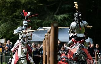 Two knights jousting