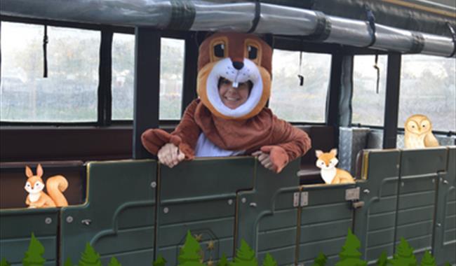 Denbies Squirrel's Woodland Train Ride