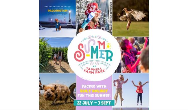 Summer fun poster at Tapnell Farm Park, Yarmouth, events, things to do