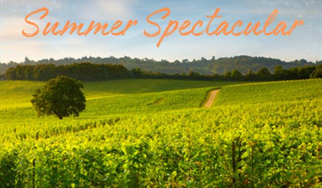 Denbies Summer Spectacular - Wine Train & Wine Library Menu Pairing *