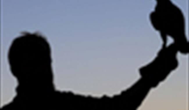 silhouette of man holding bird