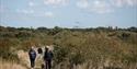 Walking Trail at Alver Valley Country Park, Lee-on-the-Solent
