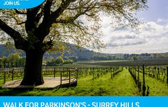 Walk for Parkinson's Surrey Hills