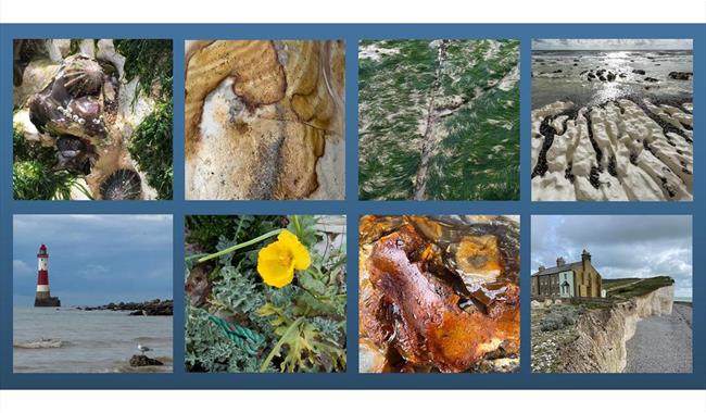Tidelines…Rock Pools…Anamnesis - exhibition at The Beachy Head Story