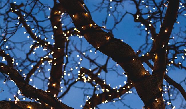 Stock photograph of Christmas Lights around a tree