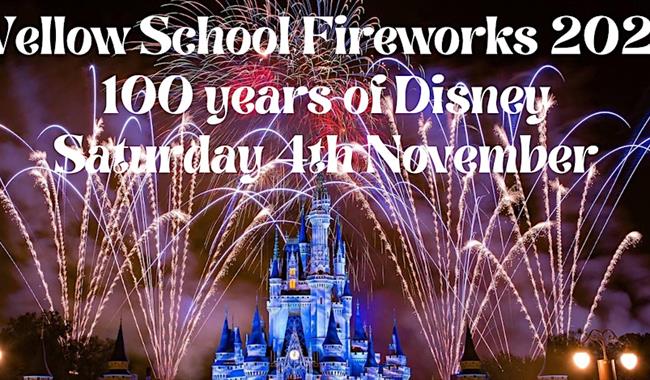 Wellow School Fireworks Event