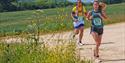 People running in the countryside at the Isle of Wight Festival of Running, What's On, Event