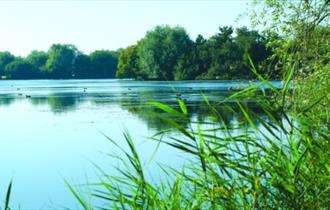 Lake at Hardwick Parks