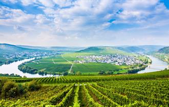 World of Wine: Explore Germany, England, Austria and Hungary