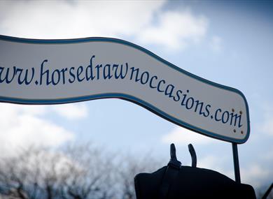 Horse Drawn Occasions