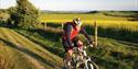 Cyclist on the South Downs Way