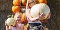 Pumpkin Pride at Tapnell Farm Park at Halloween event, Isle of Wight, What's On