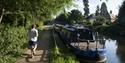Basingstoke Canal, Woking, Surrey