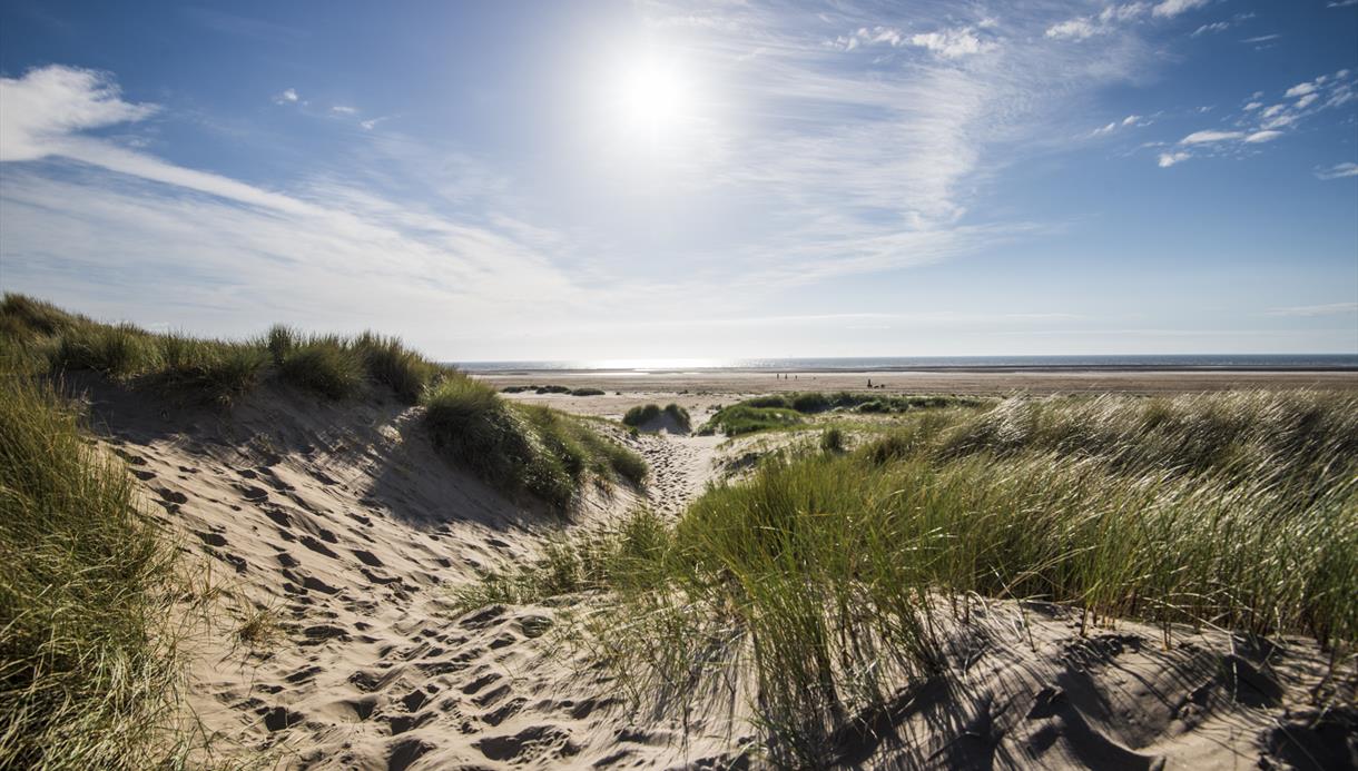 Ainsdale and Birkdale Sandhills Nature Reserve Visit Southport