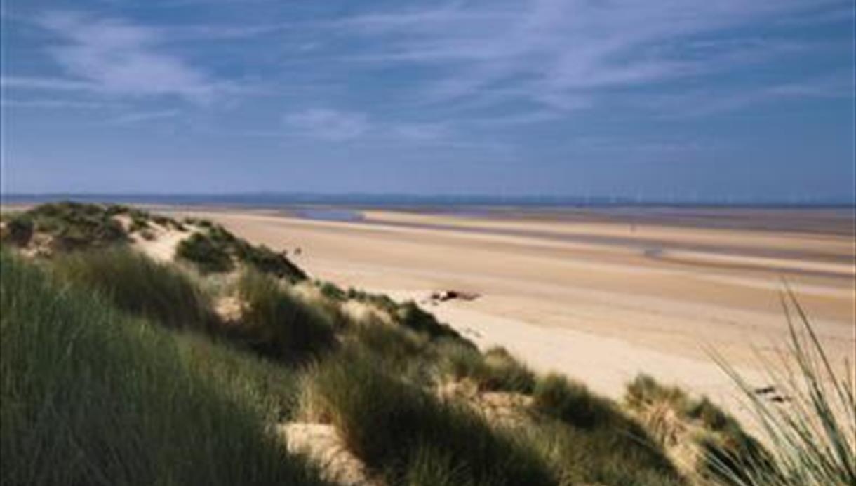 is formby beach dog friendly