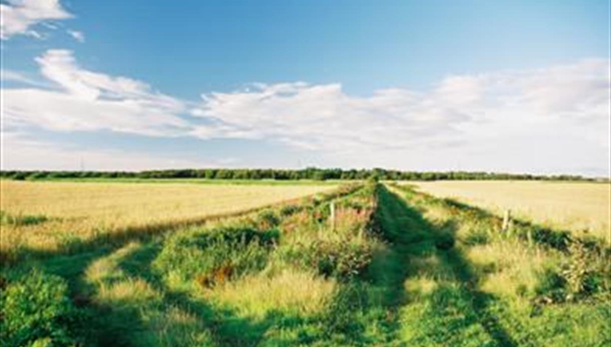 Cheshire Lines Path - Visit Southport